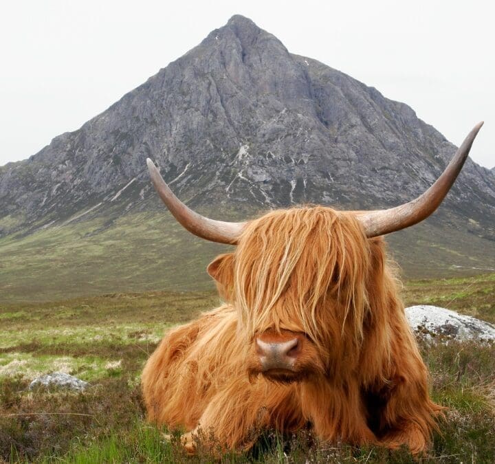 Scotland