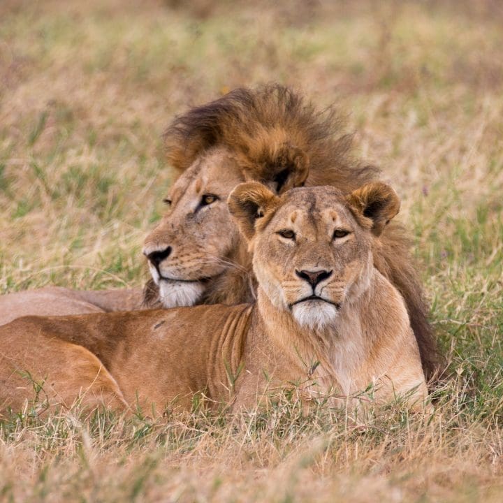 Tanzania